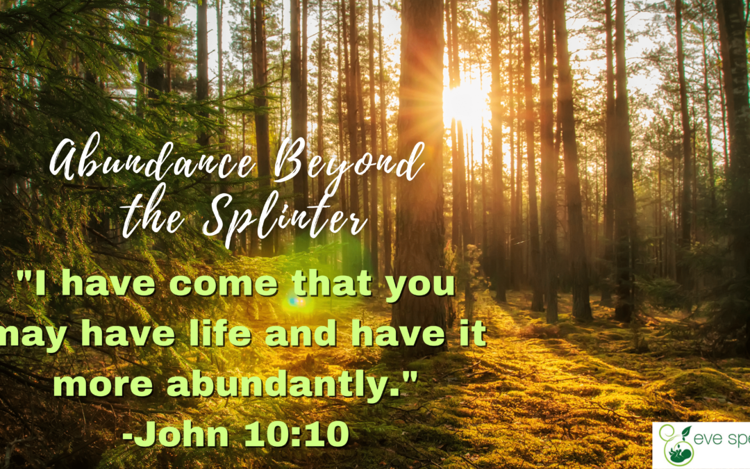 Abundance Beyond The Splinter