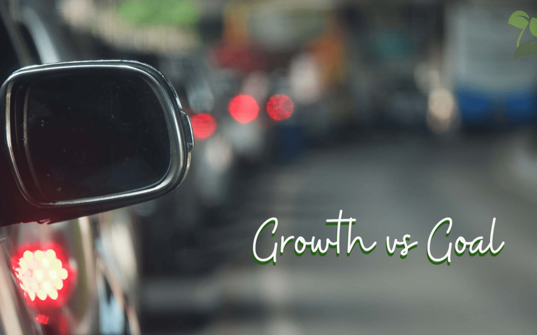 Growth vs Goal