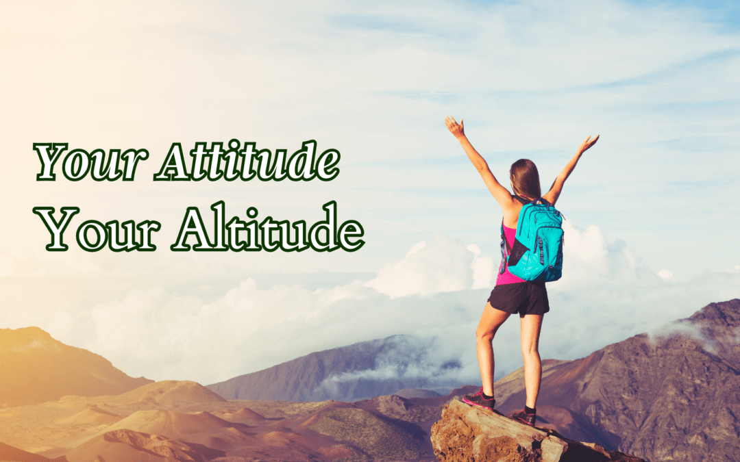 Your Attitude, Your Altitude